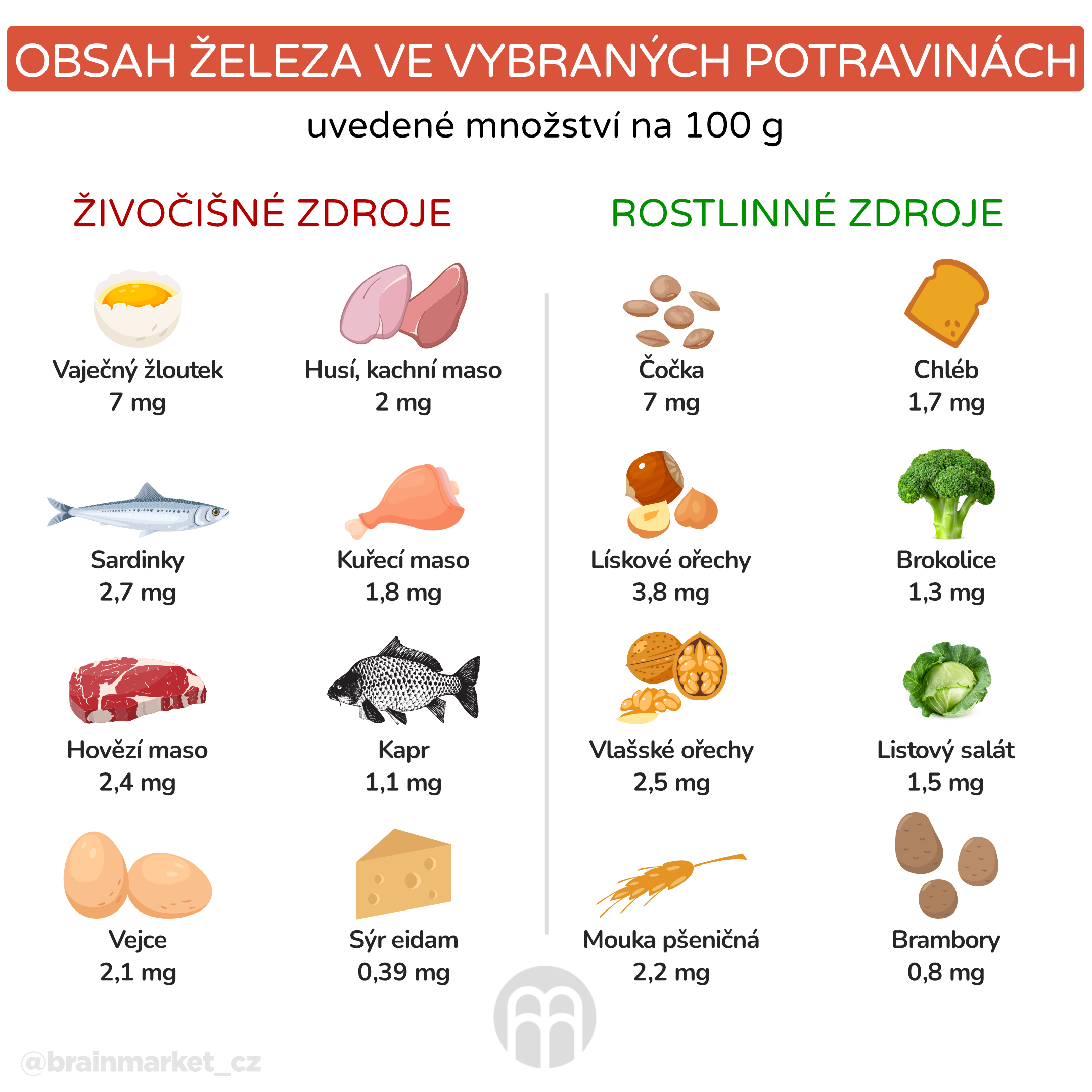 obsah železa v potvavinách_infografika_cz